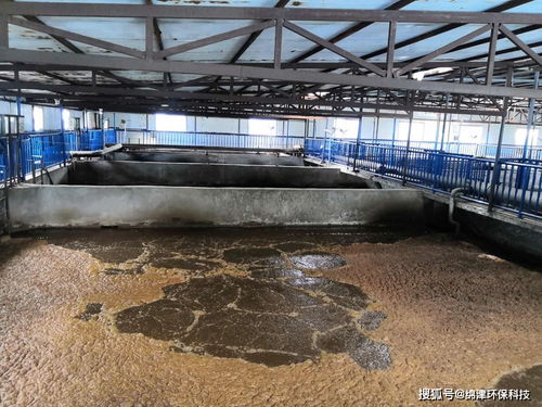 污水生化系統(tǒng)環(huán)保管家，綿津環(huán)保為企業(yè)保駕護(hù)航